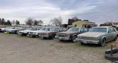 1977 Chevrolet Caprice - LS Sedan 4D