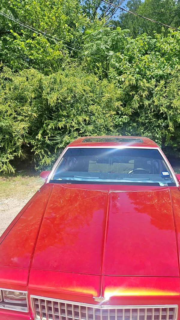 1986 Chevrolet Caprice - Classic Sedan 4D