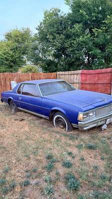 1979 Chevrolet Caprice