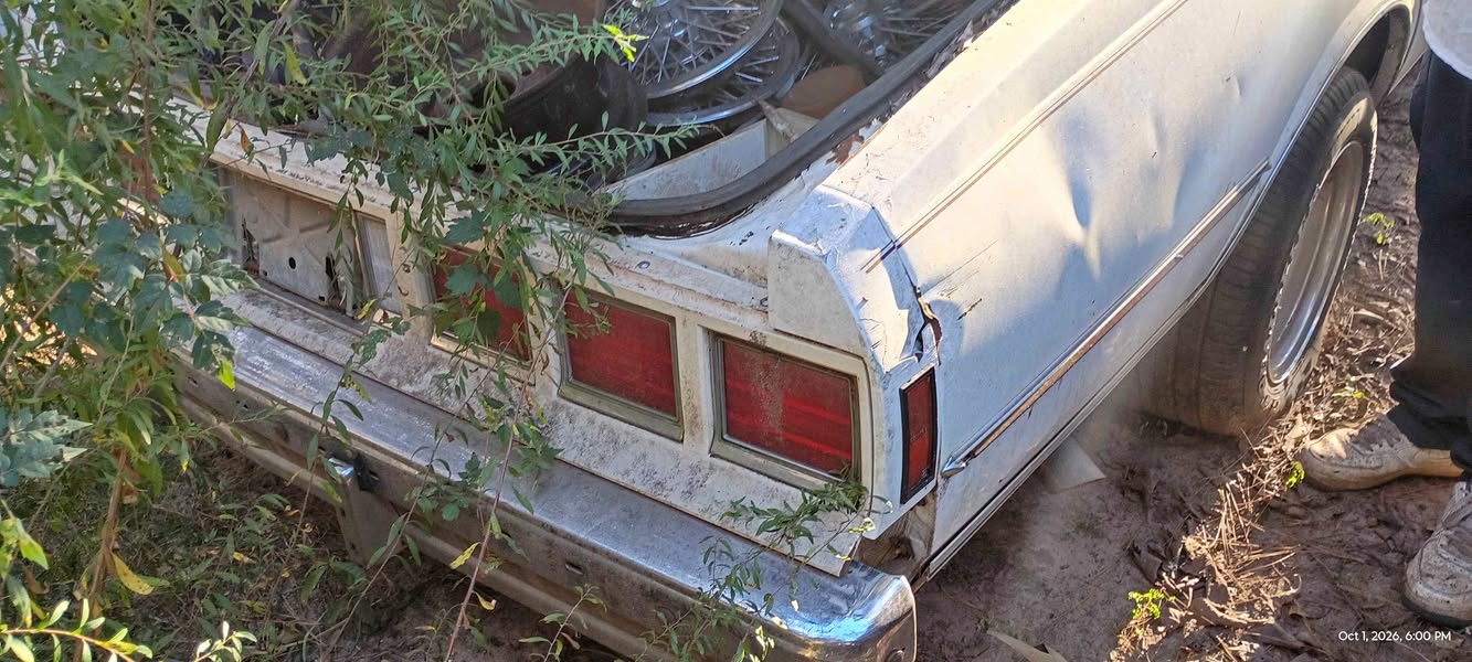 1983 Chevrolet Caprice Classic
