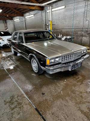 1983 Chevrolet Caprice Classic - Brougham