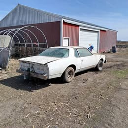 1979 Chevrolet Caprice