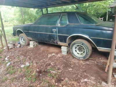 1977 Chevrolet Caprice Classic - 2 door
