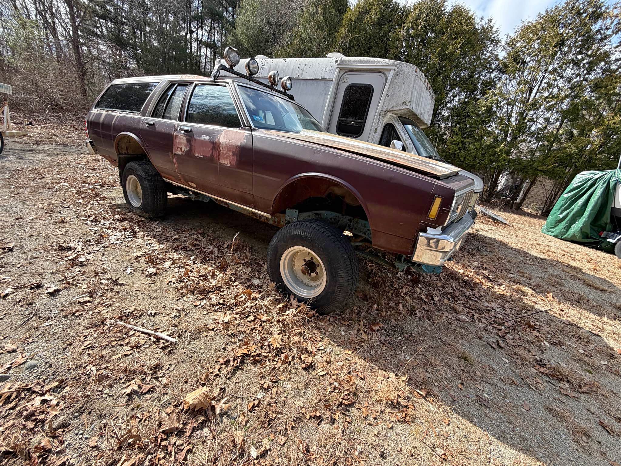 1982 Chevrolet Caprice Classic - Wagon 4D