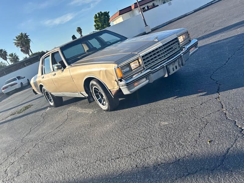 1984 Chevrolet Caprice Classic - Sedan 4D