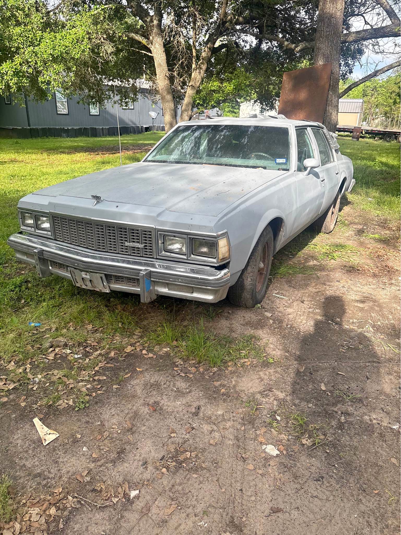 1979 Chevrolet Caprice