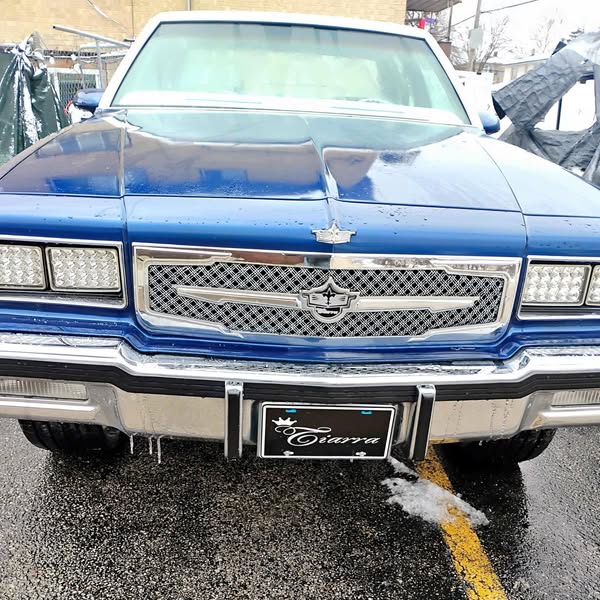 1986 Chevrolet Caprice Classic - LS Sedan 4D