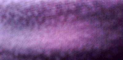 1998 Honda Civic - LX Sedan 4D
