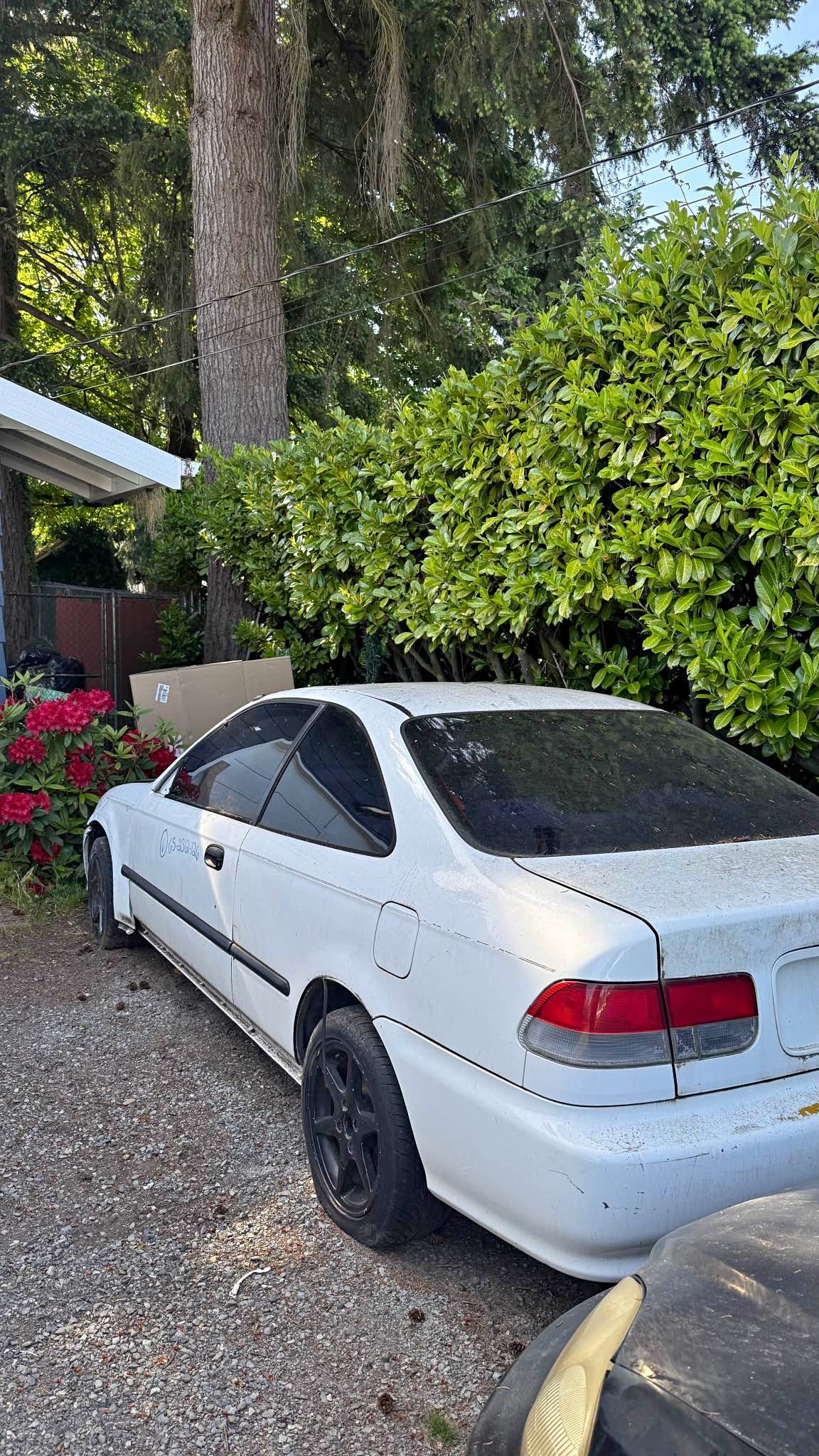 1999 Honda Civic - EX Coupe 2D