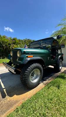 1966 Jeep cj5 - Black and New fern green