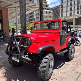 1959 Jeep cj5