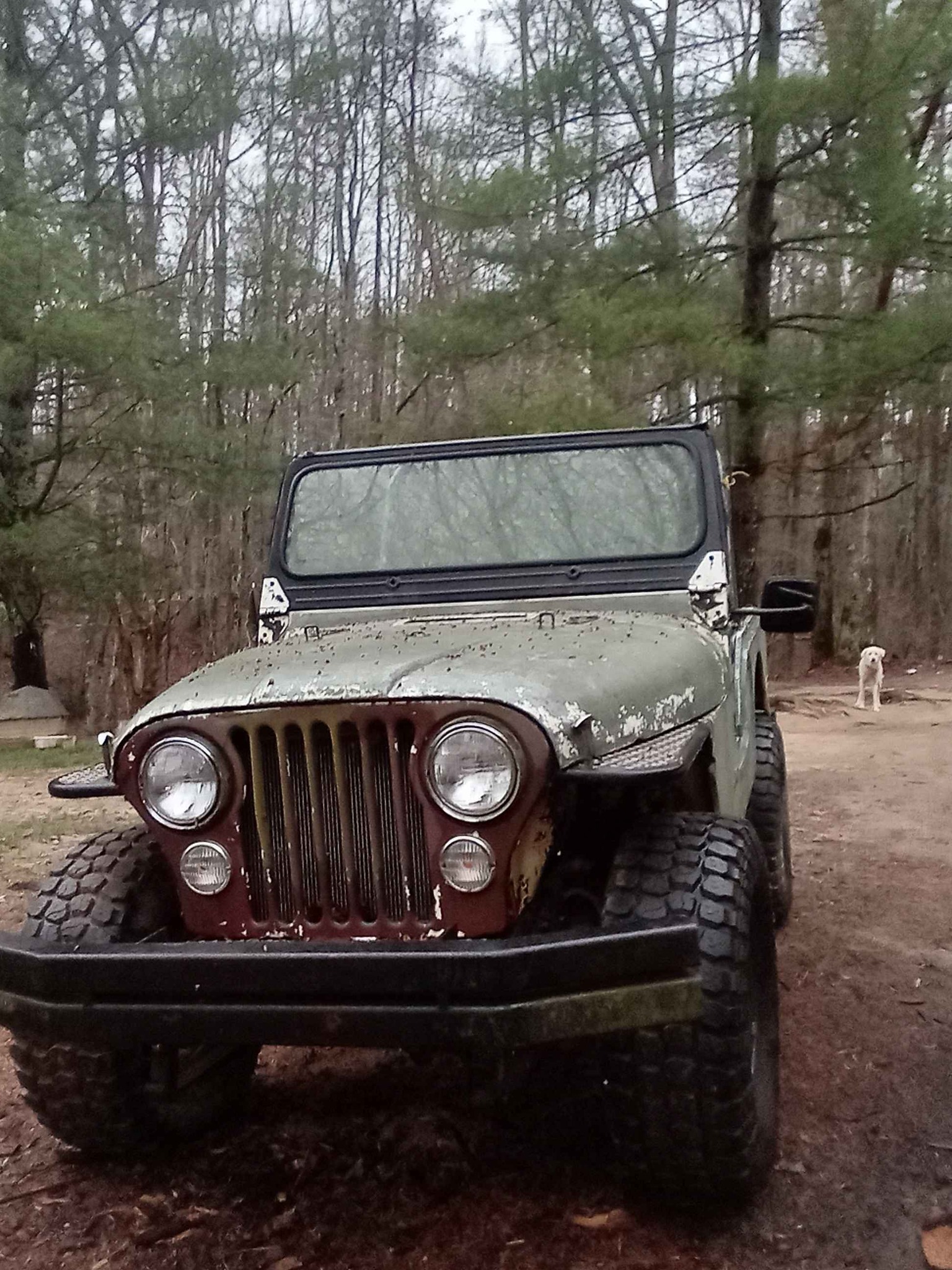 1979 jeep cj5