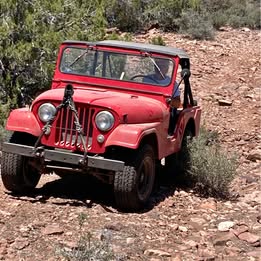 1955 Willys CJ-5 Jeep