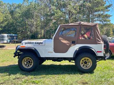 1980 Jeep cj5 - Golden Eagle