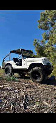 1966 Jeep CJ 5