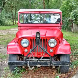 1956 Jeep willys cj5