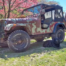 1955 Jeep cj5