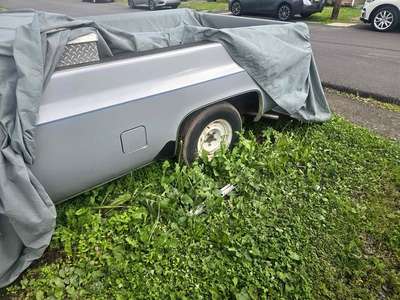 1982 Chevrolet c10
