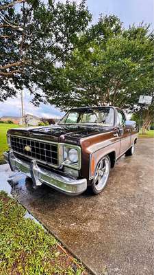 1978 Chevrolet C10 - C10