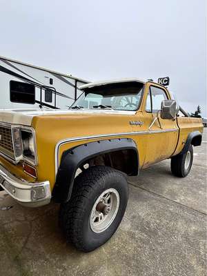 1974 Chevrolet custom deluxe c10