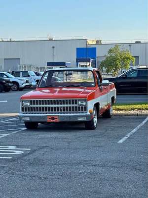 1981 Chevrolet C10 - Scottsdale