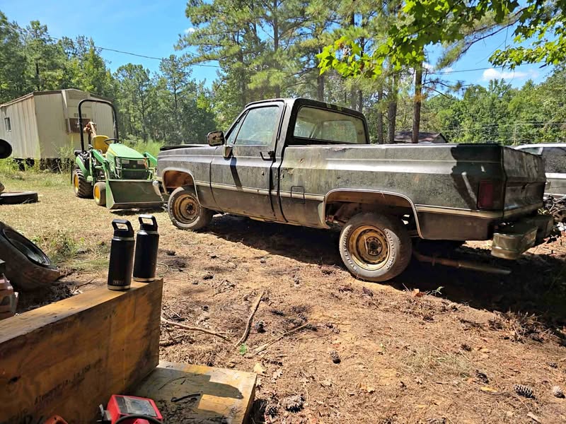 1981 Chevrolet C10