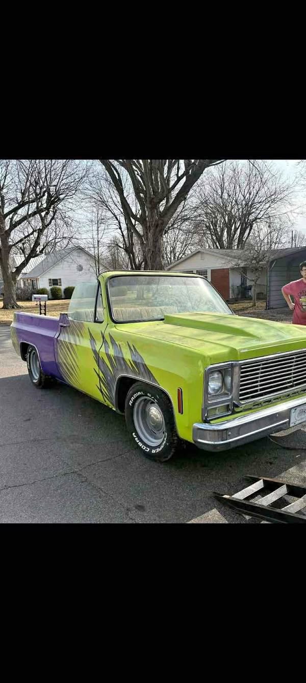 1979 Chevrolet c10 - Others