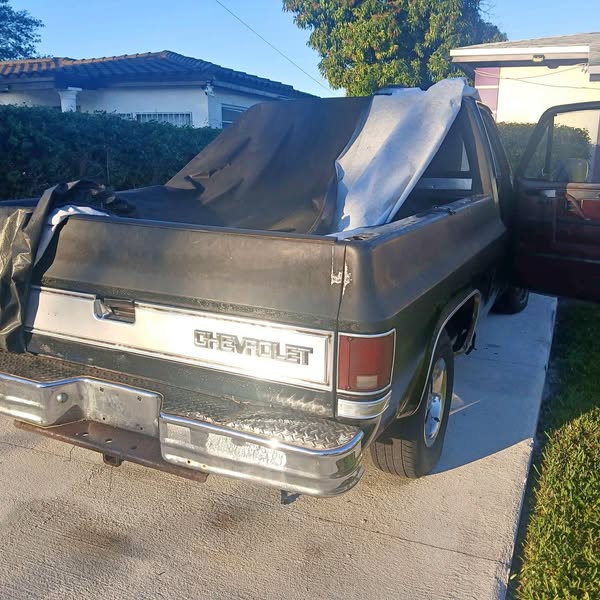1983 Chevrolet C10