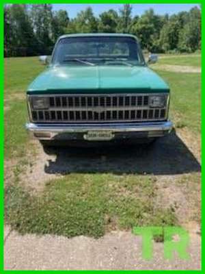 1981 Chevrolet C-10 C10 Scottsdale