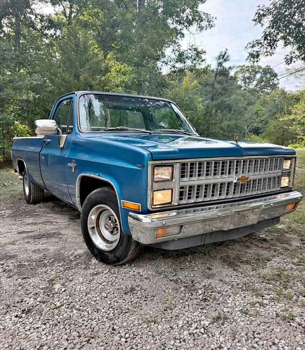1981 Chevrolet Silverado - C10
