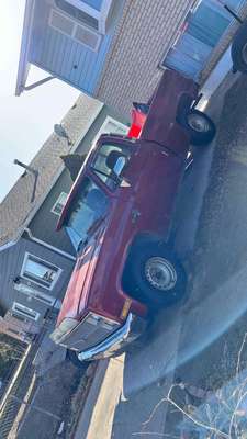 1981 Chevrolet C10