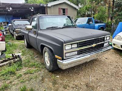 1981 Chevrolet Classic - C10