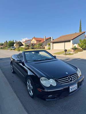 2005 Mercedes-Benz CLK-Class - CLK 500 Cabriolet 2D