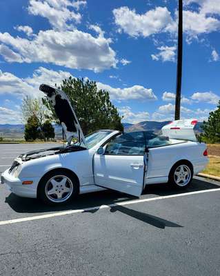 2000 Mercedes-Benz CLK-Class CLK 430 Cabriolet 2D