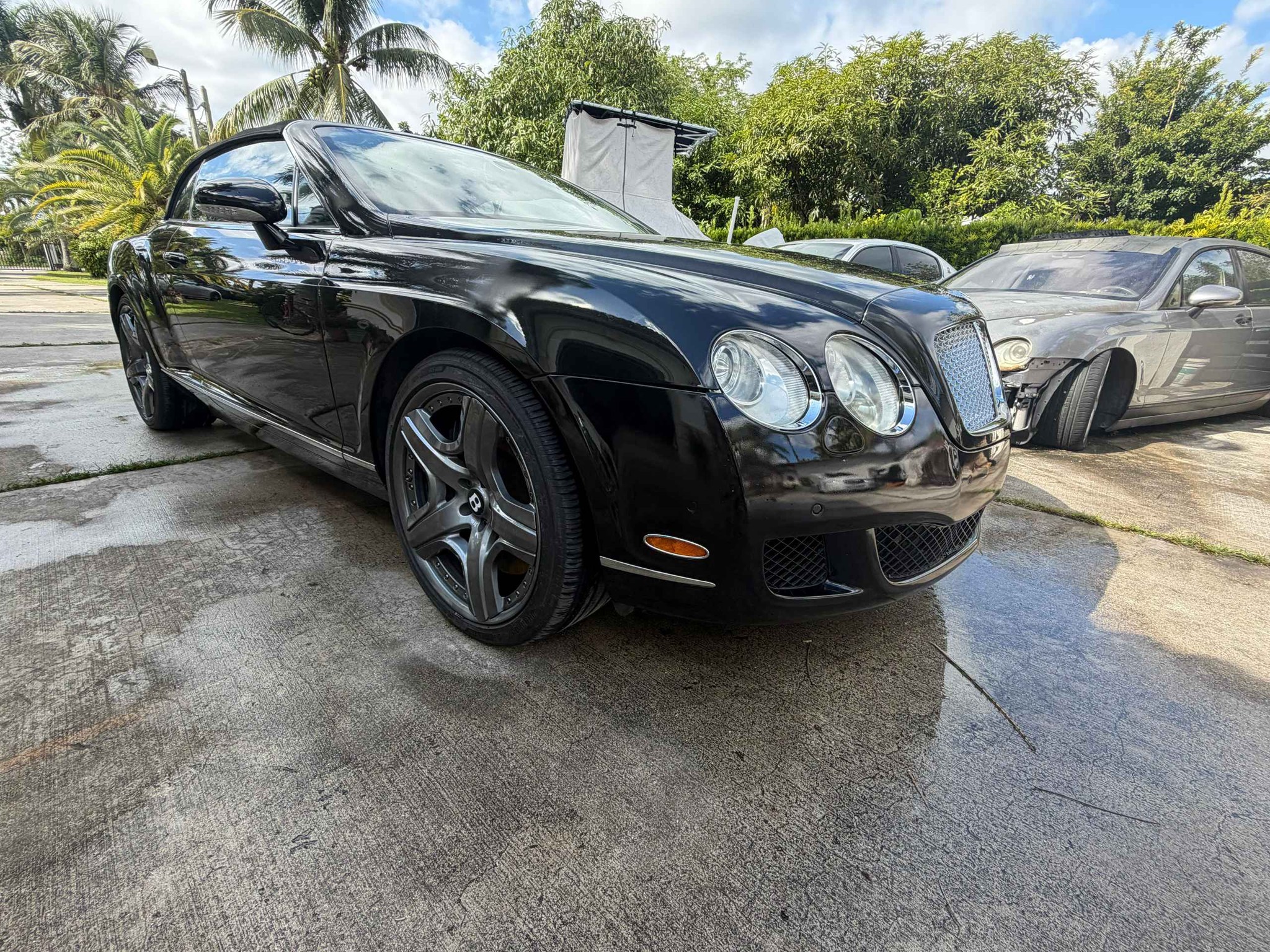 2009 Bentley Continental GT - GT Convertible 2D