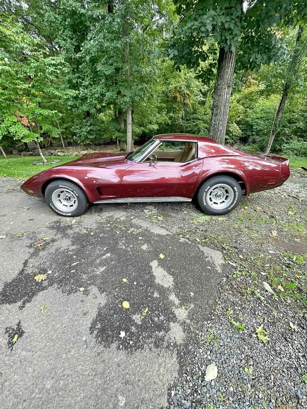 1976 Chevrolet Corvette - Coupe 2D