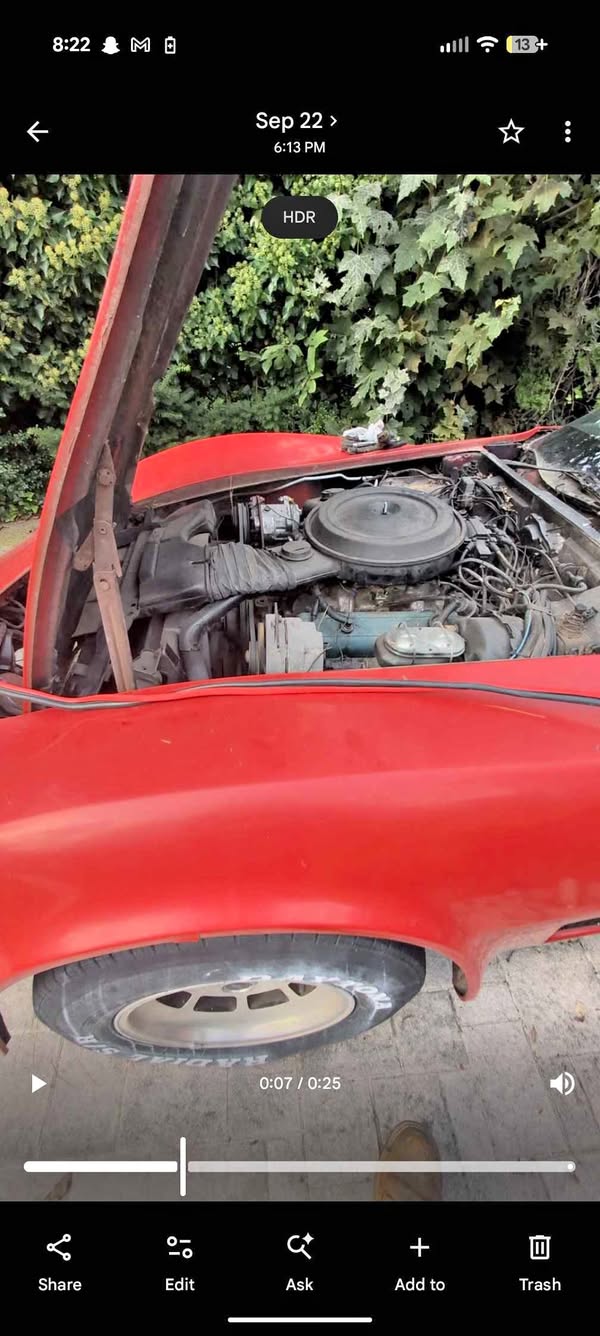 1981 Chevrolet Corvette - Coupe 2D