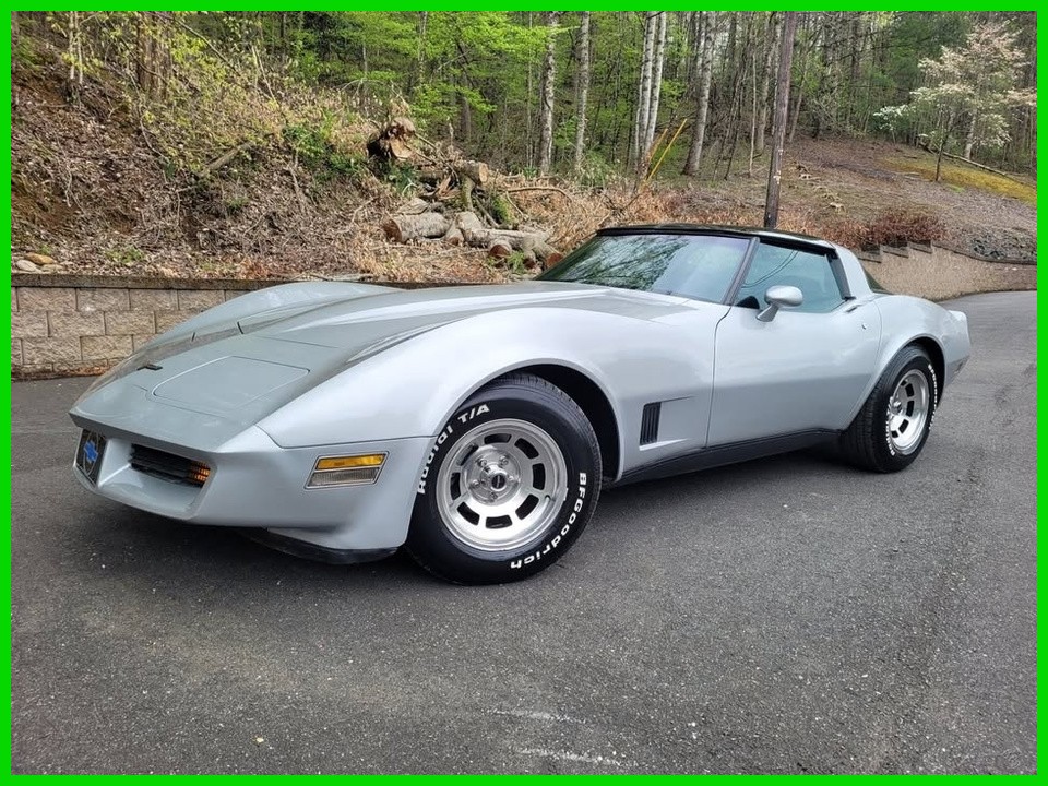 1981 Chevrolet Corvette 2dr Coupe Stock #399364
