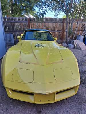 1981 Chevrolet Corvette - Convertible 2D