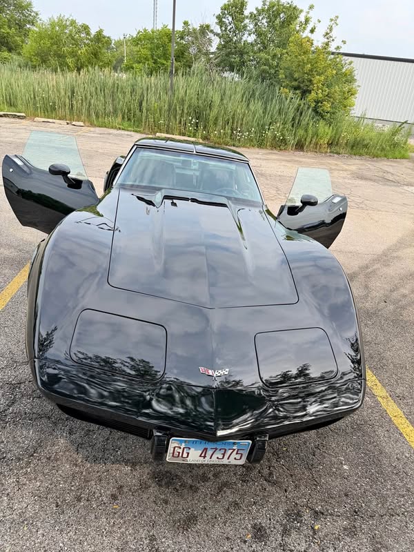 1979 Chevrolet Corvette - C3