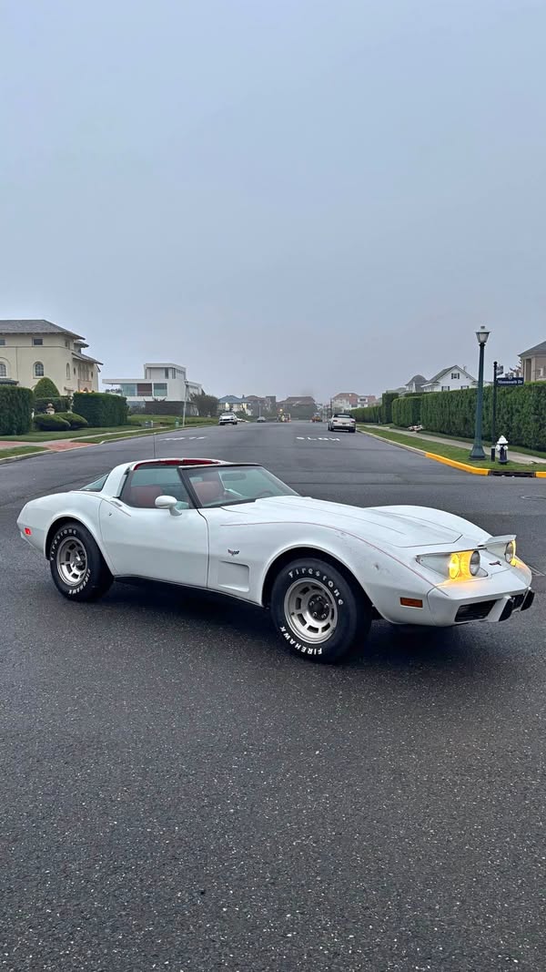1979 Chevrolet Corvette - C3