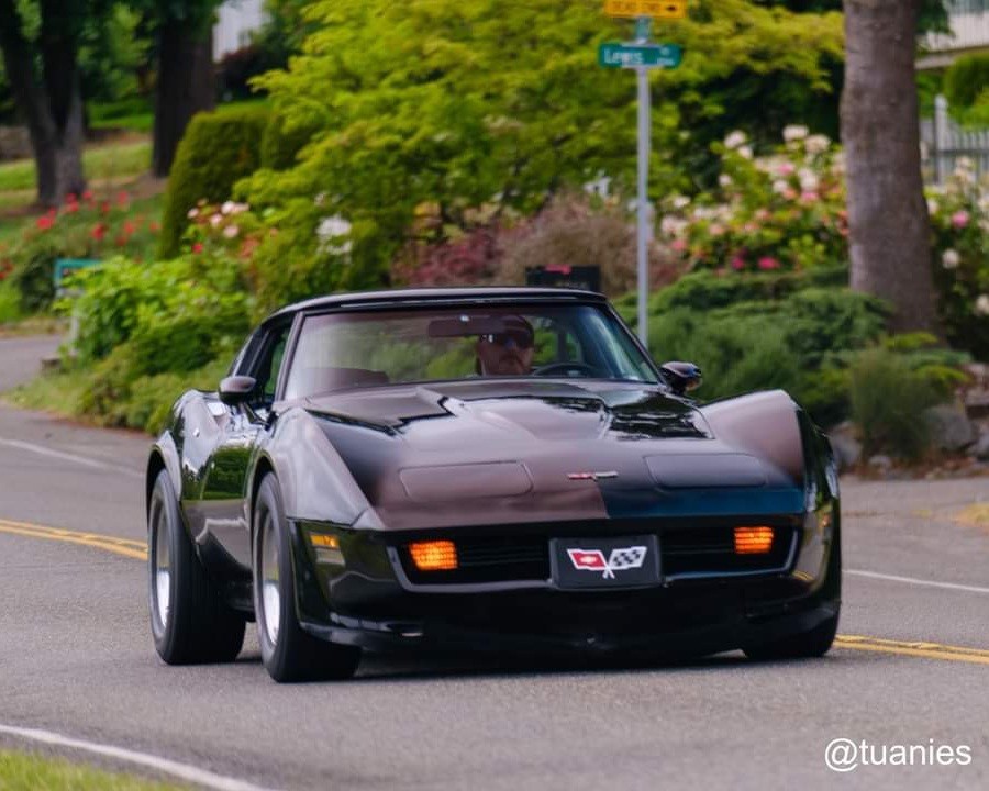 1981 Chevrolet Corvette