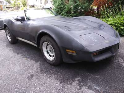 1981 Chevrolet Corvette