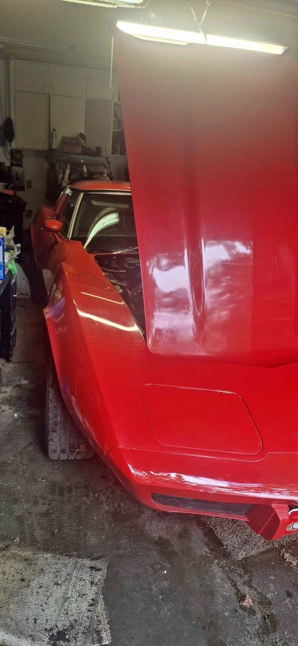 1979 Chevrolet Corvette - Coupe 2D