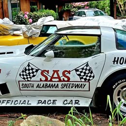 1981 Chevrolet Corvette - Stingray Coupe 2D