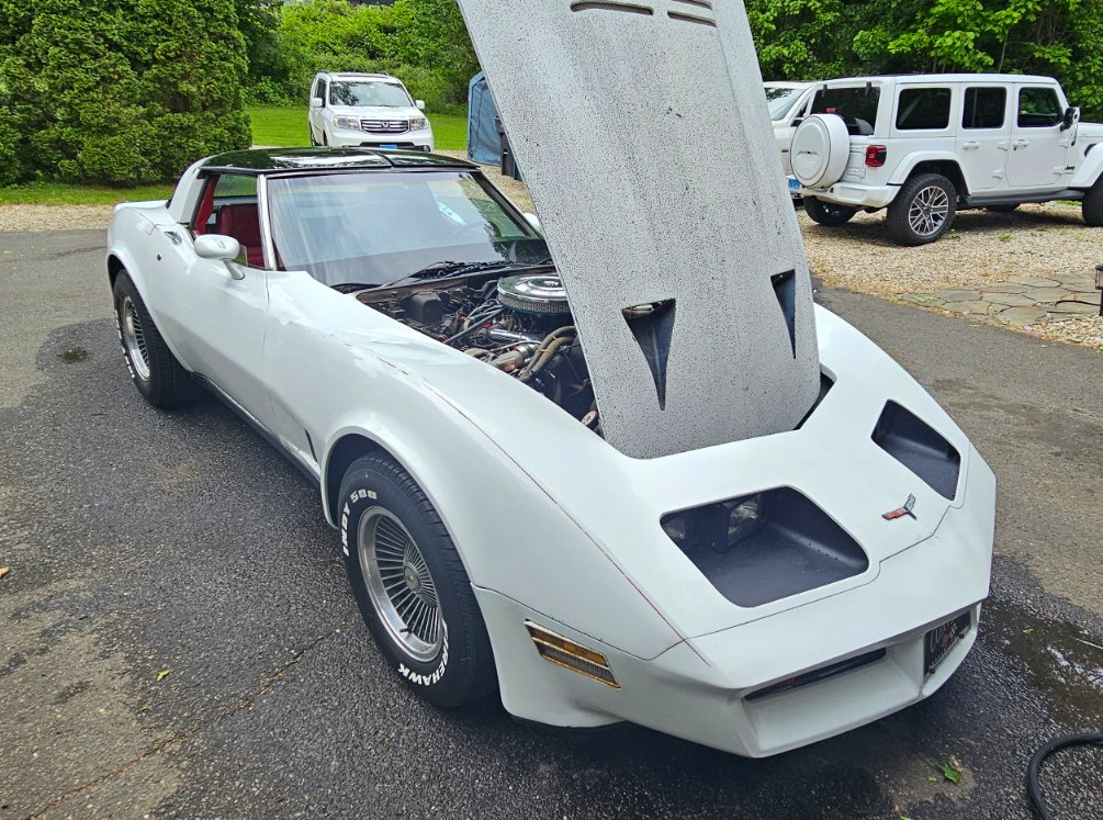 1981 Chevrolet Corvette