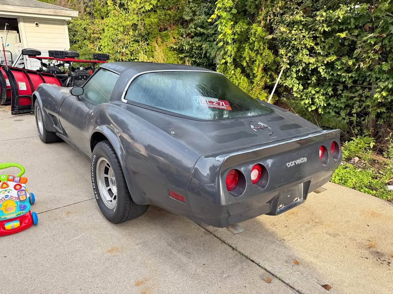 1981 Chevrolet Corvette - Coupe 2D