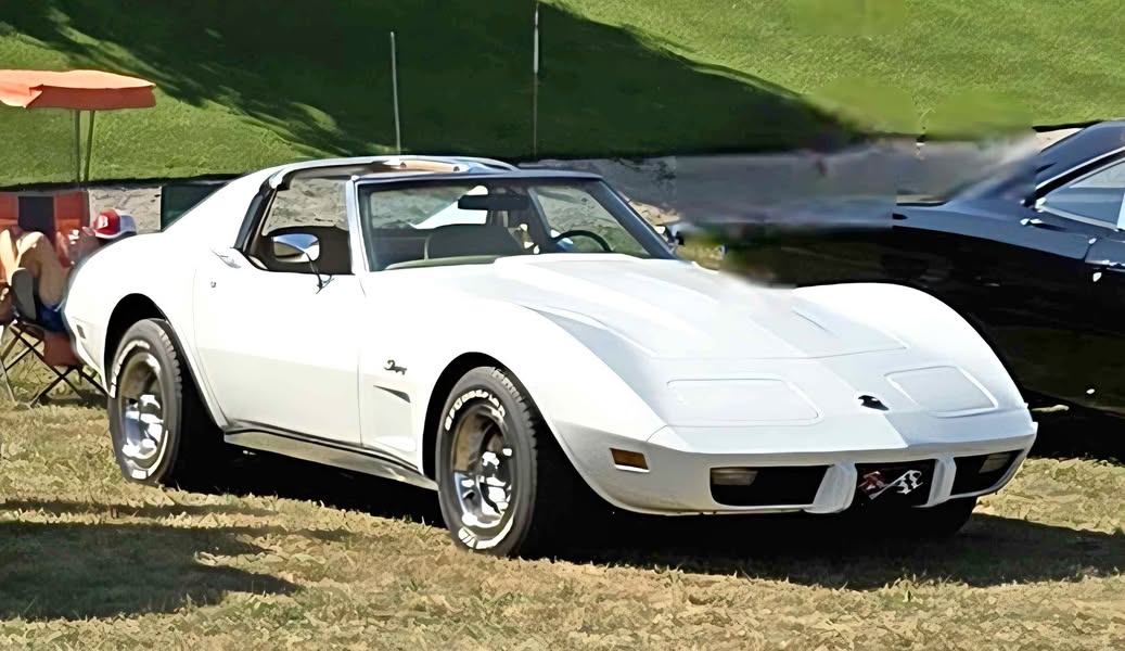 1976 Chevrolet Corvette - Stingray Coupe 2D