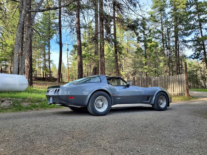 1981 Chevrolet Corvette - Coupe 2D