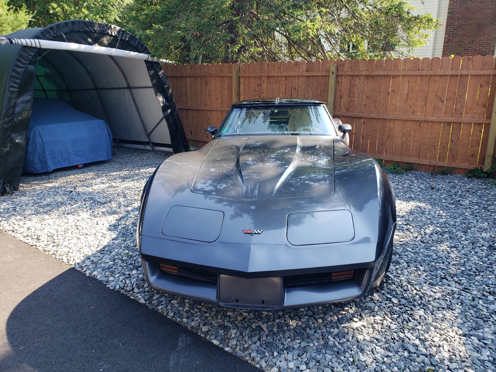 1982 Chevrolet Corvette